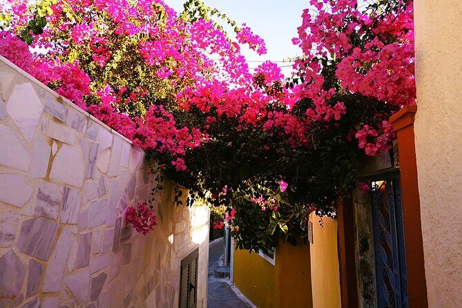 Easy Walks in Santorini Private Half Day Tour - FAQs