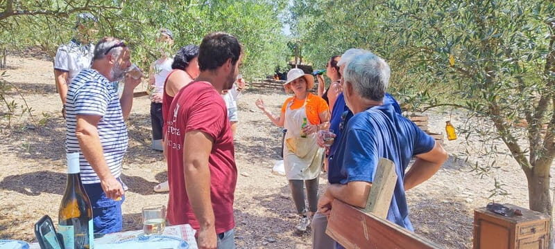 Eat in the vineyards like a Duriense - What is this tour all about?