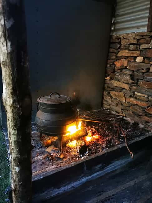 Eat in the vineyards like a Duriense - Who should consider this tour?