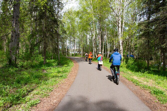eBike Art and Trails Guided Tour of Anchorage - Who Will Love This Tour?