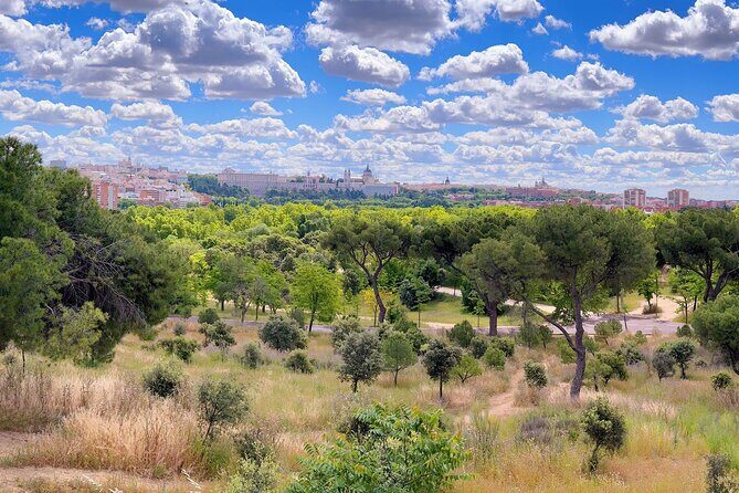 Ebike tour Madrid, green areas and panoramic views. 3 hours - Practical Considerations and Tips