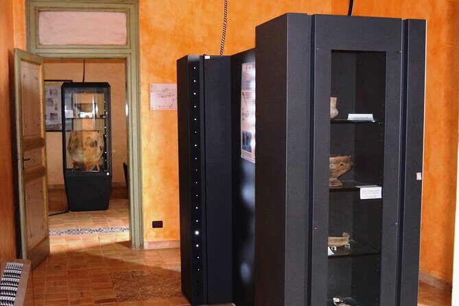 Ebike tour, Selinunte - Analyzing the Cost and Experience