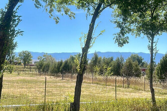 EBIKE Winery Tour in Penrose, Colorado: Penrose Uncorked - FAQs