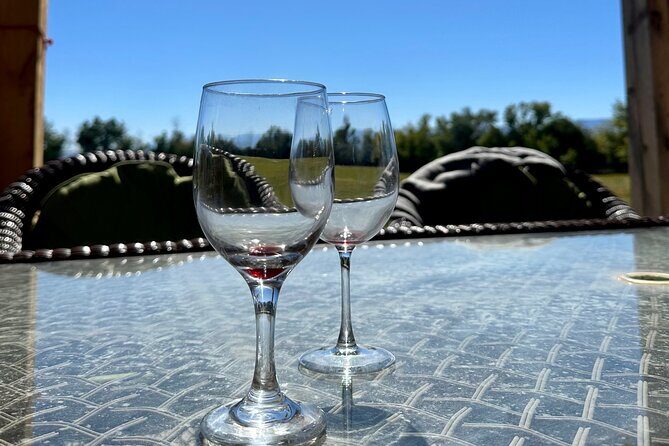 EBIKE Winery Tour in Penrose, Colorado: Penrose Uncorked - Wrapping Up