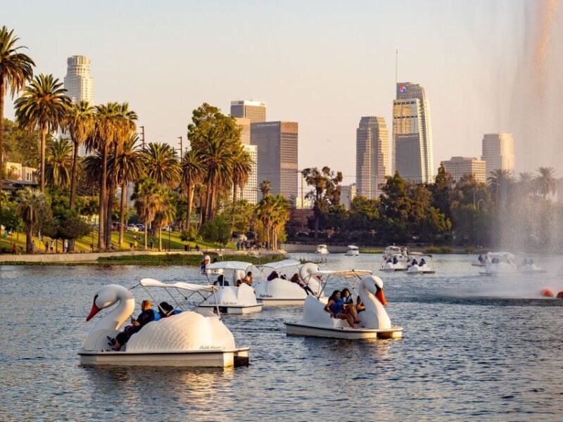 Echo Park Lake: Swan Pedal Boat Rental - The Downsides to Consider