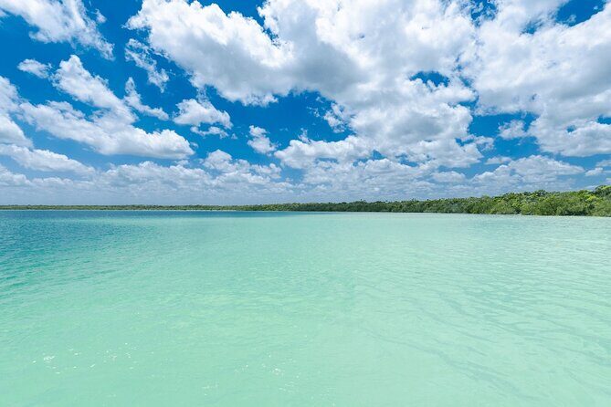 Eco Adventure At 3 Cenotes & 1 Lagoon ! From Cancun & Riviera - The Pros and Cons Based on Reviews