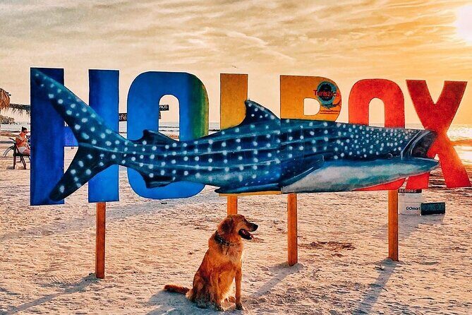 ECO-Adventure at Holbox Island and Cenote Yalahau from Cancun & Playa Del Carmen - Whats Included and Whats Not