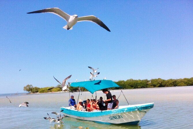 ECO-Adventure at Holbox Island and Cenote Yalahau from Cancun & Playa Del Carmen - Who Should Consider This Tour?