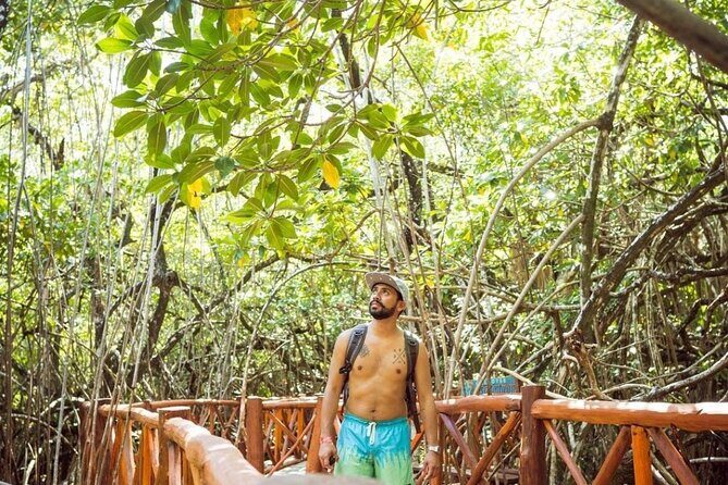 Eco Adventure Cenotes Casa Tortuga!+ Tulum Ruins From Cancun & Playa Del Carmen - Final Thoughts