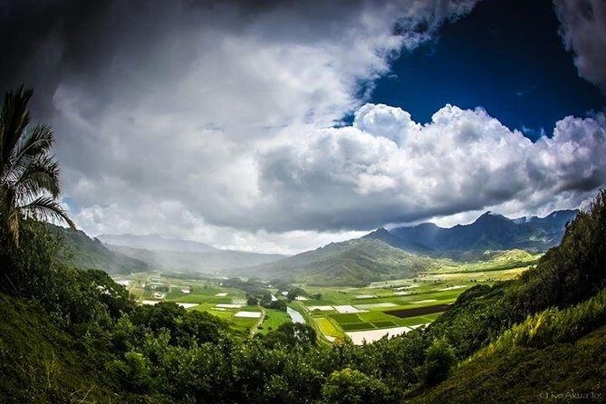 Eco-adventure friendly Aloha Island Tour - Key Points