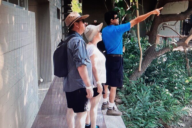 Eco Adventure in the Archaeological Area of Copalita - Final Thoughts