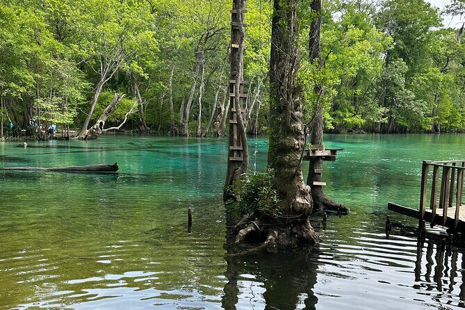 ECO adventure to Cypress Springs by Paddle Board or Kayak - The Bottom Line