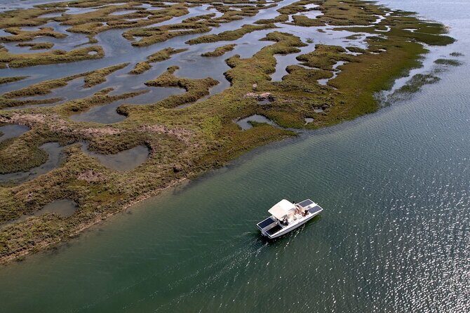 Eco Boat Tour in the Ria Formosa Lagoon from Faro - What to Expect on the Eco Boat Tour
