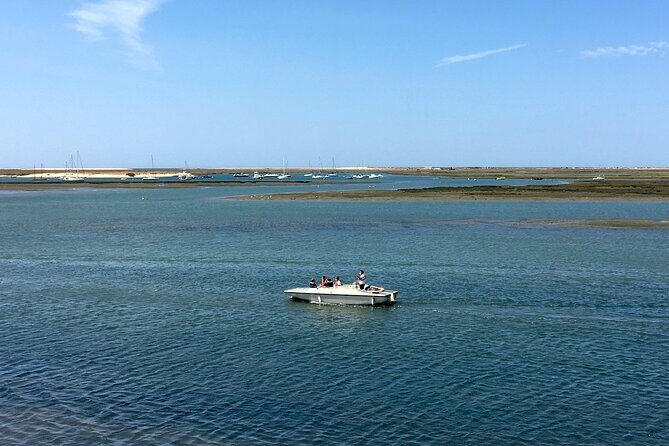 Eco Boat Tour in the Ria Formosa Lagoon from Faro - Pros and Cons of the Tour