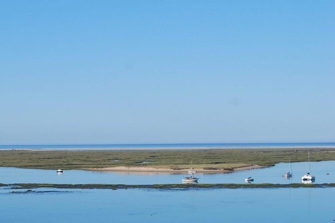 Eco Boat Tour in the Ria Formosa Lagoon from Faro - Who Should Book This Tour?