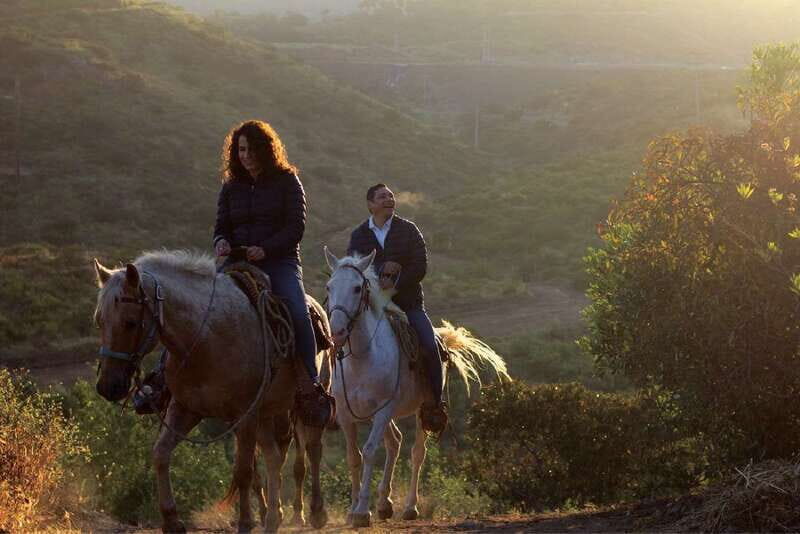 Eco Canyon Horseback Riding Excursion - Key Points