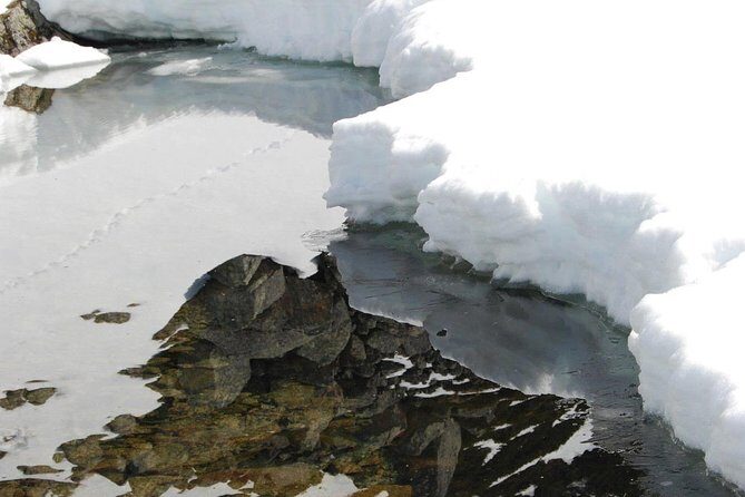 Eco friendly snowshoeing in Scenic Landscape - FAQ