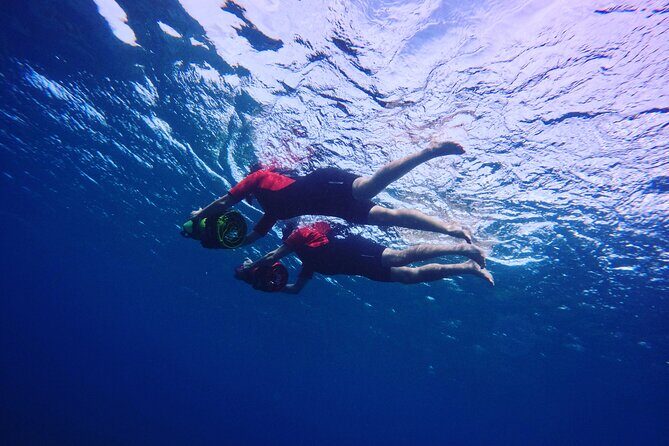 Eco Sea Scooter Beach Entry - Rent a GoPro Video tape Sea Turtles - The Experience Itself: What You Can Expect