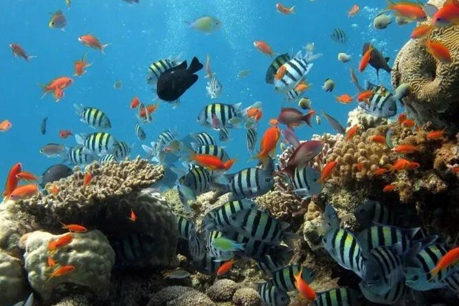 Eco Sea Scooter Guided Beach Tour From The Famous Kapalua Bay - Practical Considerations