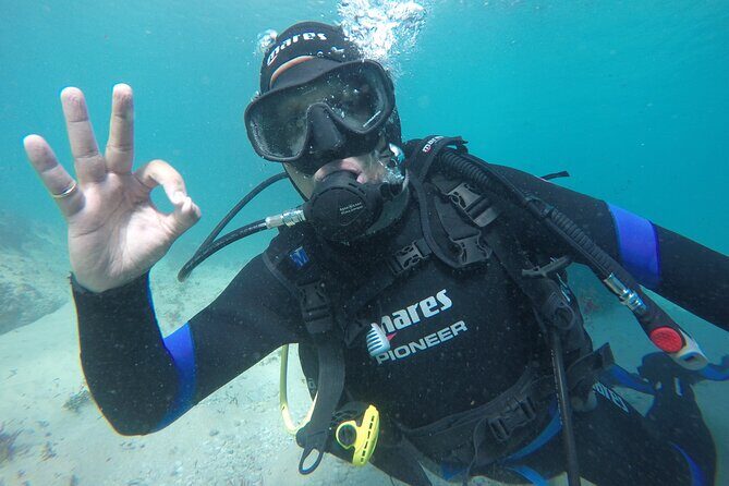 Eco - Try Dive - What Do Participants Say?