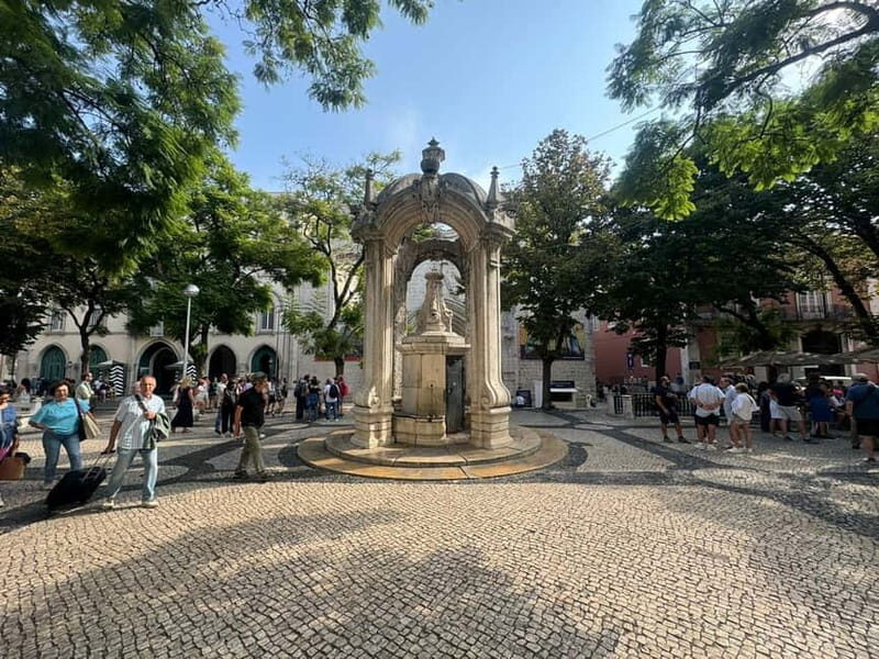 Eco Tuk Tours Lisbon - The Value and Practical Considerations