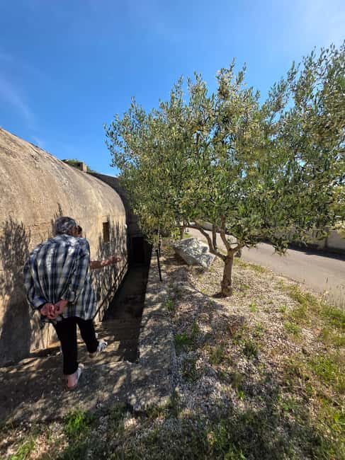 Eco tuk tuk Highlights of Zadar - Final Thoughts