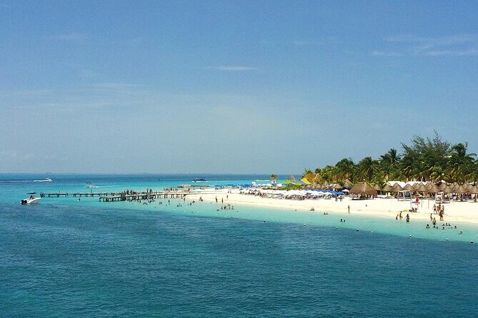 Eco Whale Shark Encounter - Swimming with the Whale Sharks