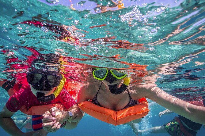 Eco Whale Shark Encounter - Final Thoughts: Who Should Book This?