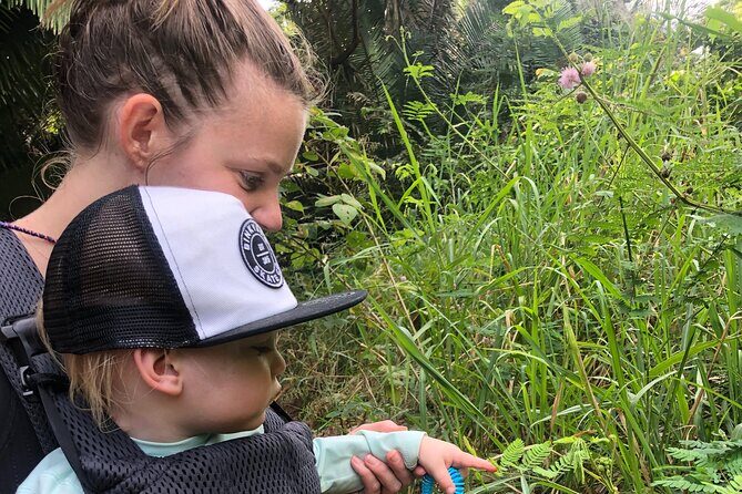 EcoHike experience through the jungle, mountains and hidden beach - The Sum Up