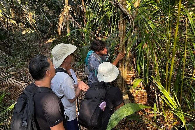 EcoHike experience through the jungle, mountains and hidden beach - FAQ