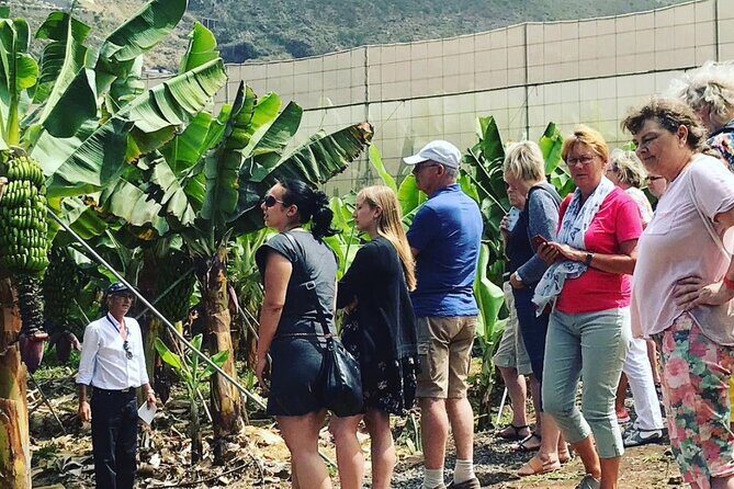 Ecological Banana Plantation Tour - Itinerary Breakdown