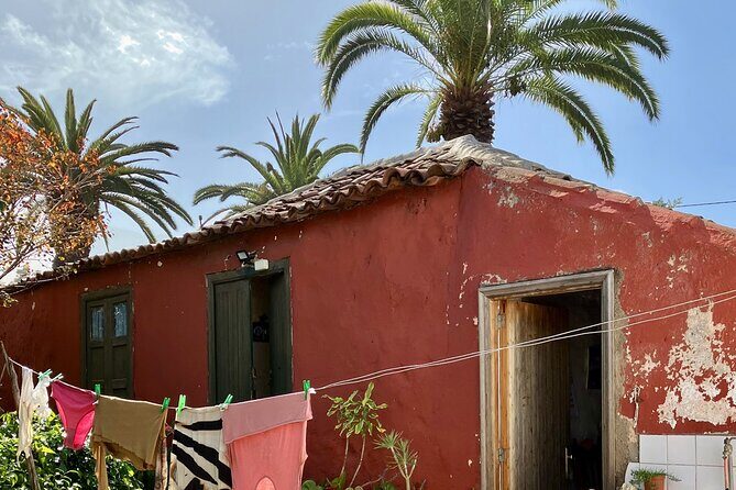 Ecological Banana Plantation Tour - Accessibility and Practical Tips