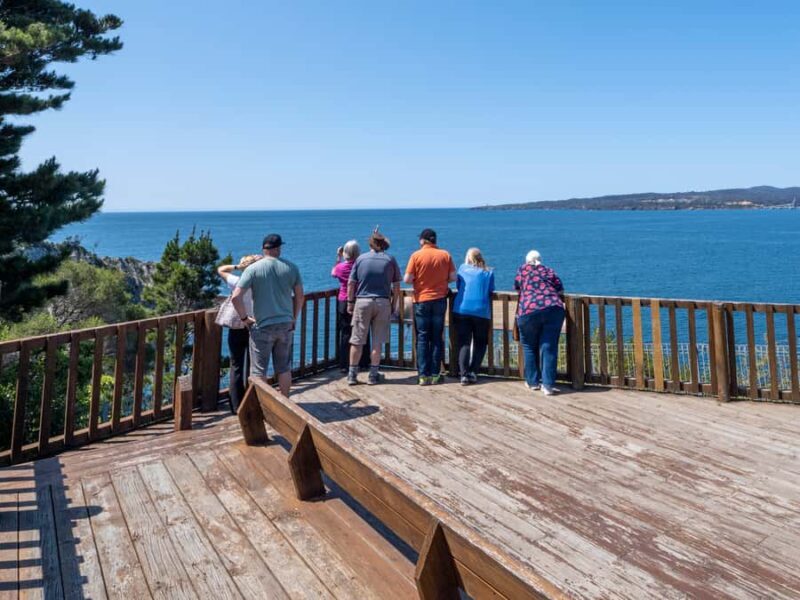 Eden: 2-Hour Highlights Tour, Nature, Beaches and Lookouts - An Honest Look at the Eden Highlights Tour