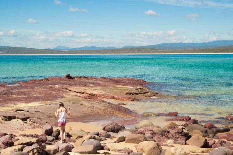 Eden: Sapphire Coast 4 Hour Shore Excursion - Who Should Consider This Tour?