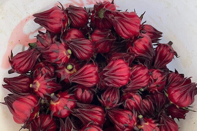 Edible Hibiscus Guided Farm Tour (Big Island) - Deep Dive into the Details