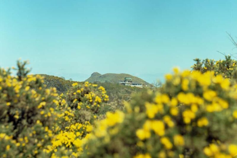 Edinburgh: Arthur's Seat Sunrise Hike with Mountain Guide - FAQs