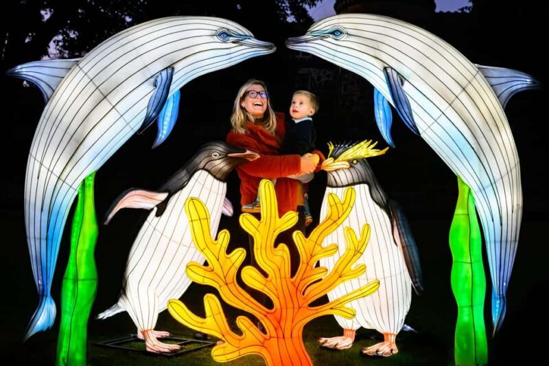 Edinburgh: Edinburgh Zoo Giant Lanterns Entry Tickets - How Does It Compare to Other Experiences?