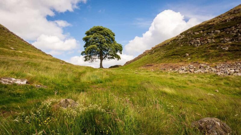 Edinburgh: Hadrian's Wall & Scottish Borders Day Trip - Key Points