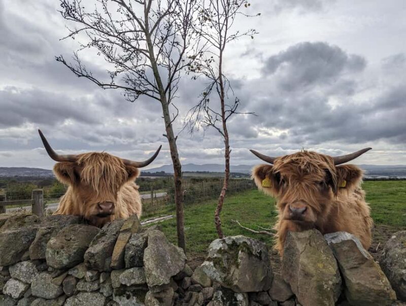 Edinburgh: Harry Potter, Glenfinnan & Highlands Private Tour - Exploring the Scottish Highlands and Harry Potter Magic: A Detailed Review