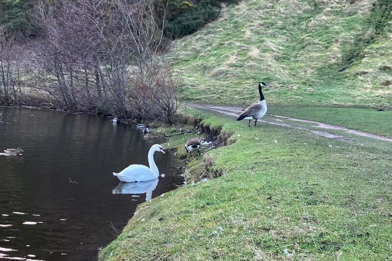 Edinburgh: Hike Arthur's Seat & Calton Hill - Final Thoughts: Is This Tour for You?