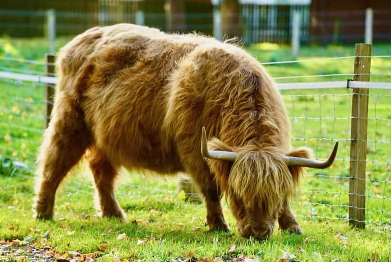 Edinburgh: Iconic Outlander Locations Guided Day Tour - Final Thoughts