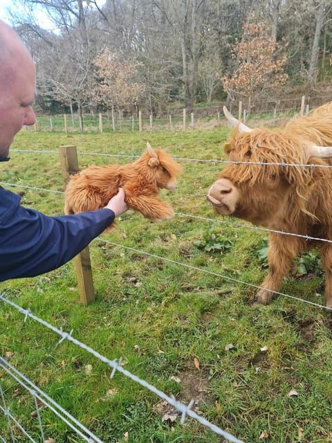 Edinburgh: Loch Ness, Glencoe, Coos & the Highlands Day Tour - Tyndrum and the Return Drive: Regaining Your Energy