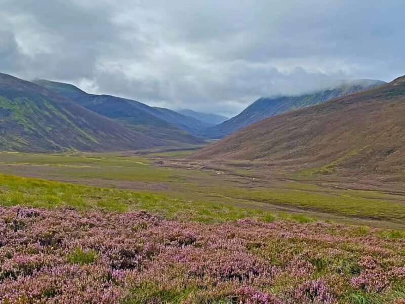 Edinburgh: Scottish Highlands Walking Day Tour with Guide - Key Points