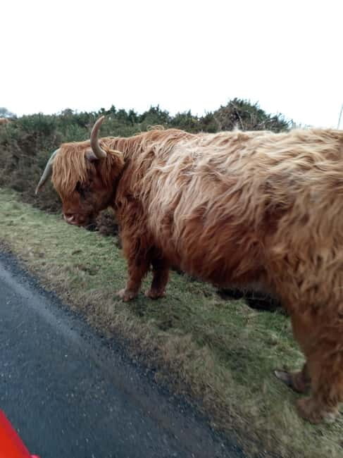 Edinburgh: Stirling, Highlands, Loch Ness, Mull 5-Day Tour - What’s Included and What’s Not