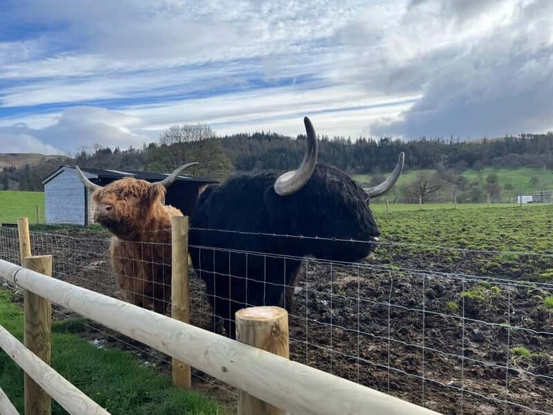Edinburgh: The Kelpies, Loch Lomond & Trossachs Day Trip - Journey Through Scotland’s Scenic Heartland