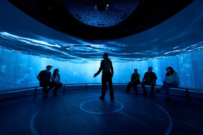 Edinburgh: The Scotch Whisky Experience Tour and Tasting - What to Expect from the Tour