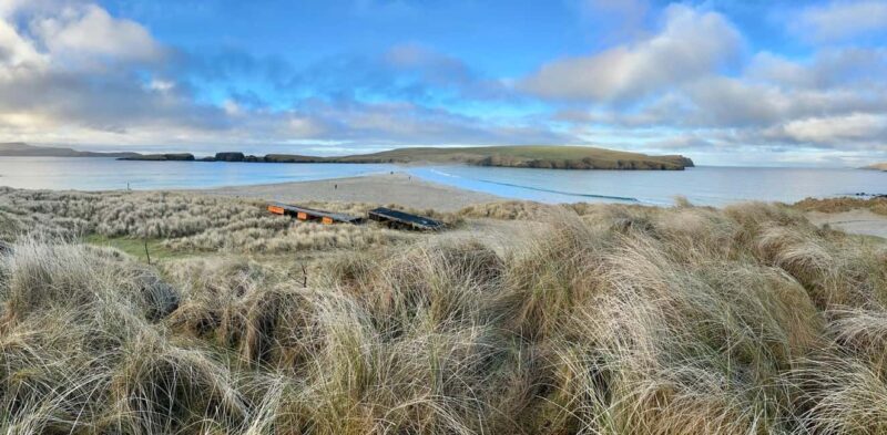 Edinburgh: Up Helly Aa Viking Festival & Shetland Tour - Key Points