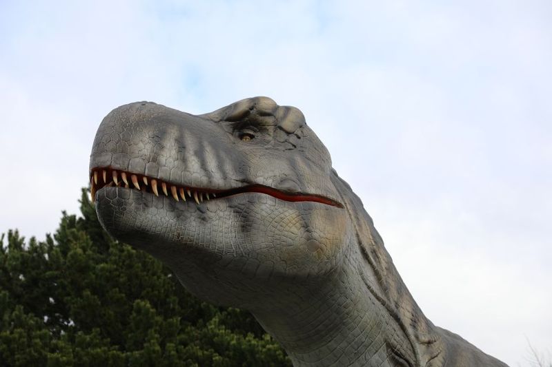 Edinburgh Zoo Entrance Ticket - Koalas and Sloths: Amazing Displays With a Time Twist