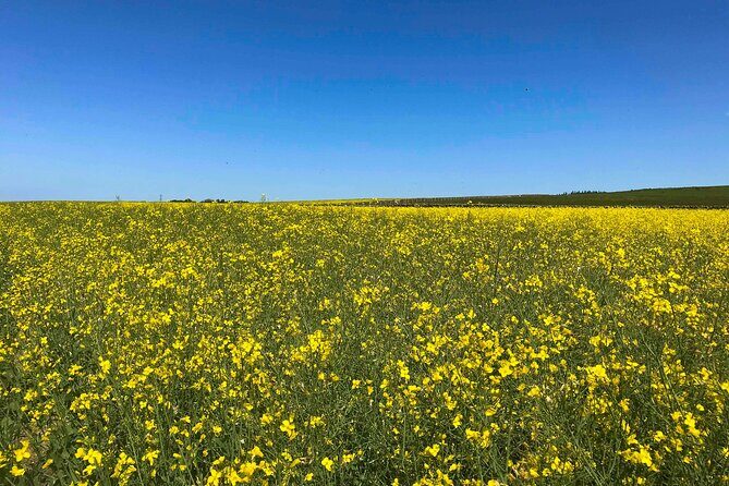 Edinburgh's Landscapes Tours with a Local Guide: Private & Personalized - Final thoughts