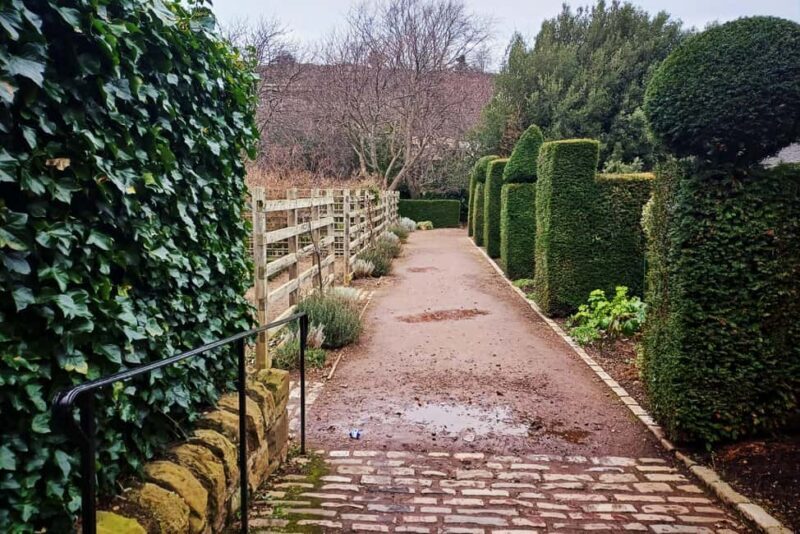 Edinburgh's Royal Mile Alley Tour - Authentic Reviews and Insights